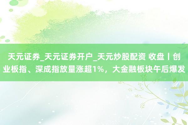 天元证券_天元证券开户_天元炒股配资 收盘丨创业板指、深成指放量涨超1%，大金融板块午后爆发